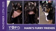 11/13/2025 | Megan, Winter and Jordan | Mark's Furry Friends