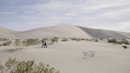 Video thumbnail: Outdoor Nevada Big Dune Beetle