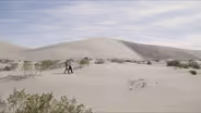 Witnessing the Mating Rituals of Giuliani Dune Scarab Beetles