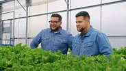 The Lettuce Lab
