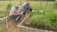 Constructing Raised Beds