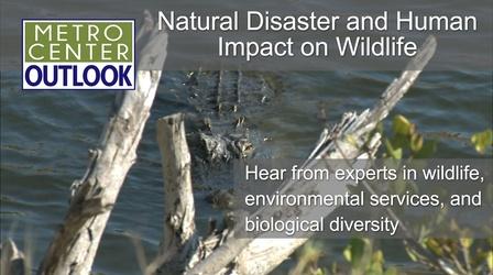 Video thumbnail: Metro Center Outlook Natural and Human Impacts on Wildlife