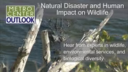 Natural and Human Impacts on Wildlife
