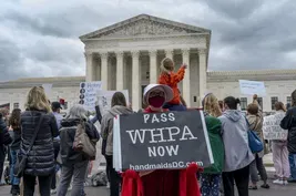 Will abortion rights be a factor in midterm elections?