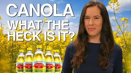 Video thumbnail: How Does It Grow Canola: What the Heck Is It?