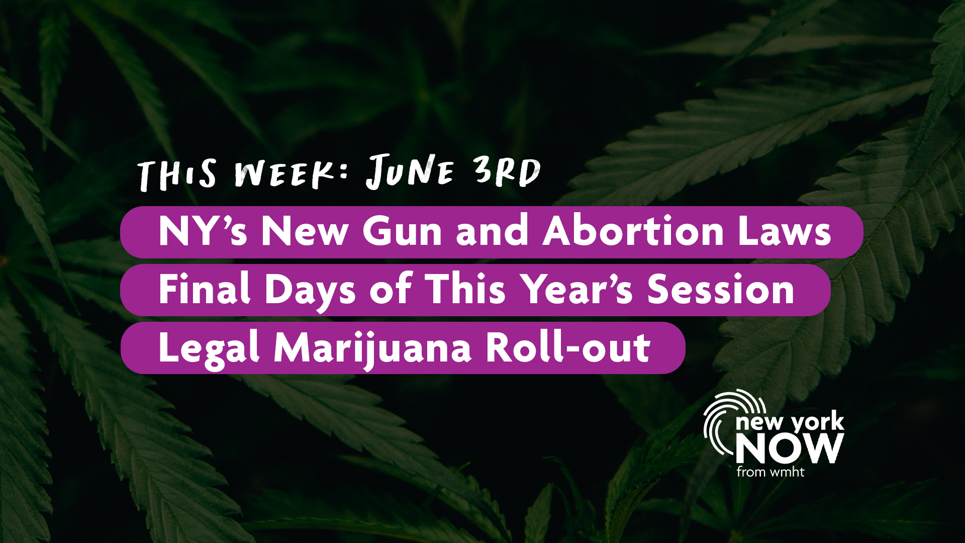 Sessions' End, Abortion & Gun Laws, Legal Marijuana Roll-Out | New York ...