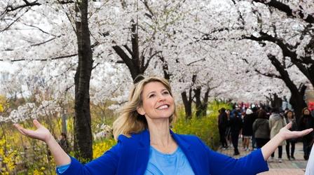 Video thumbnail: Samantha Brown's Places to Love Seoul, South Korea