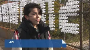 Iranians in Chicago Look to Spread Awareness