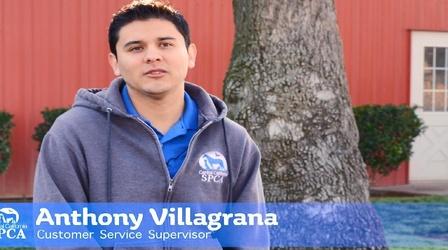 Video thumbnail: byYou News/Public Affairs CCSPCA Behind the Kennel: Anthony