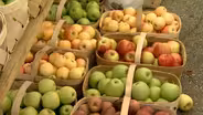NC Apple Festival