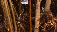 South Dakota Home Garden: Bare Root Plants