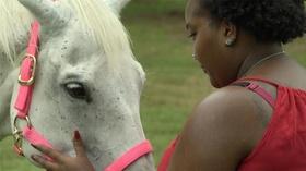 Video thumbnail: Virginia Currents Interacting with Horses; Sunny & Gabe (#2708)