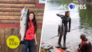 I caught the worlds largest silver salmon with a pole spear