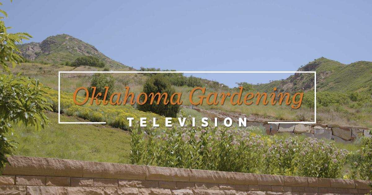 Oklahoma Gardening | Oklahoma Gardening October 12, 2024 | Season 51 | Episode 5114