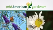 Mid-American Gardener with Sandy Mason October 19, 2017