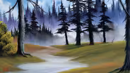 Quiet Woods