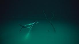 Cenotes: asset-mezzanine-16x9