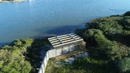 Coastal Parkitecture, Bay Trawl & Alum Creek Toads