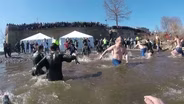 POLAR PLUNGE