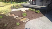 Landscape Design Help