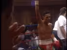 Fight Night