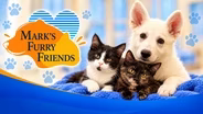 Crumbl, Wafer and Wite Out | Mark's Furry Friends
