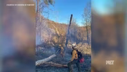 Kentucky Wildfires Under Control