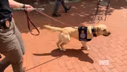 New Canine Officer for Kentucky AG's Department of Criminal Investigation