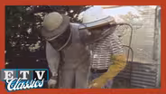 Studio See - Beekeeper (1977)