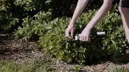 Garden Center Tour & Pruning Techniques