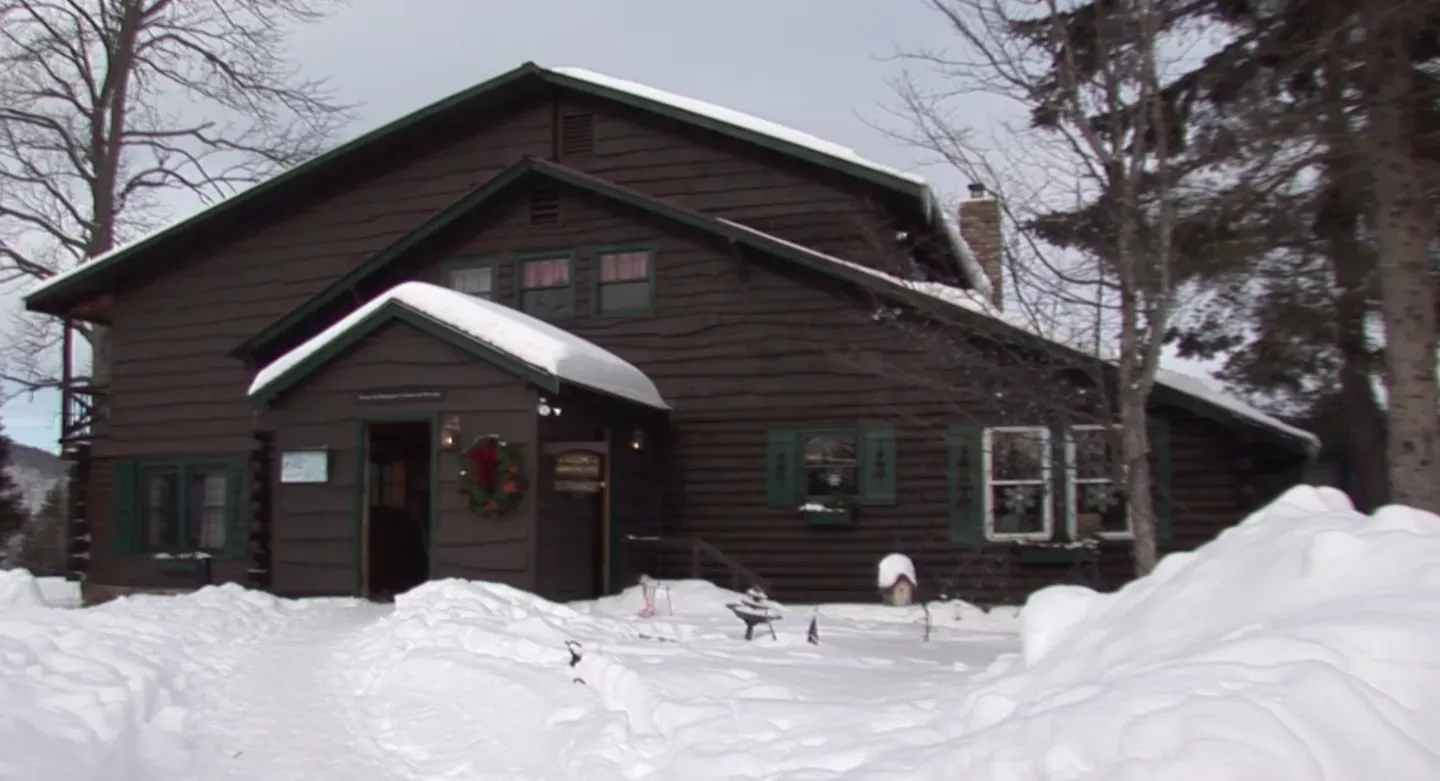 Garnet Hill Lodge / Taxidermy