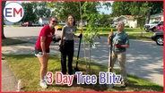 3 Day Tree Blitz