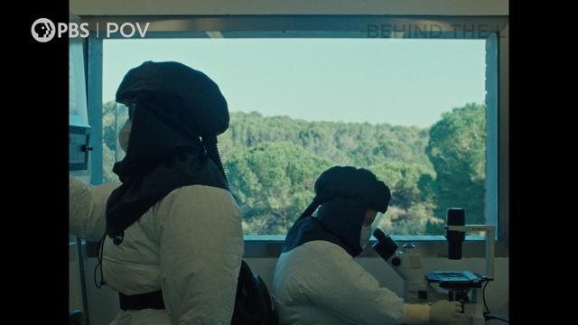 POV | Anatomy of a Scene: Fauna