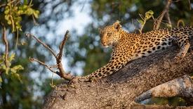 Episode Six: asset-mezzanine-16x9