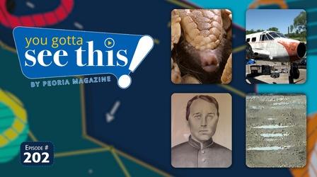 Video thumbnail: You Gotta See This! By Peoria Magazine Armadillos | Bumpy Roads | Psycho Silo | Civil War Soldier