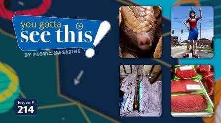Video thumbnail: You Gotta See This! By Peoria Magazine Check out the best segments of the year!