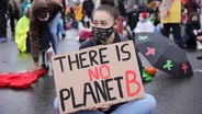 Can We Fix the Planet the Same Way We Broke It?