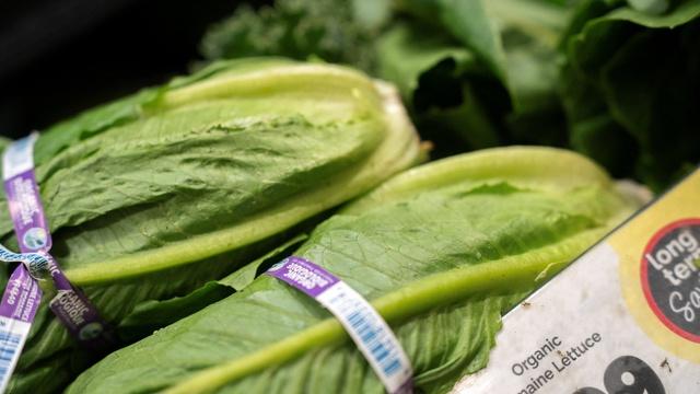 Cyclospora, salmonella cases raise food safety concerns