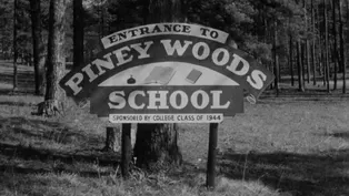 Piney Woods School