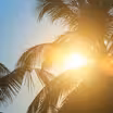 Heat Safety 101