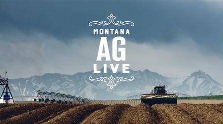 Video thumbnail: Montana Ag Live 5901: Pulse Crops