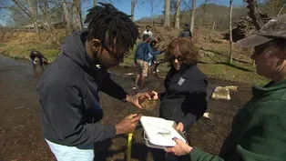 Students at Warner Park | American Spring Live | NPT