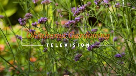 Video thumbnail: Oklahoma Gardening Oklahoma Gardening #4903 (07/16/22)
