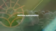 Protein Supplements