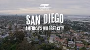 Nature: San Diego: America’s Wildest | Trailer