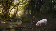 The Hunt