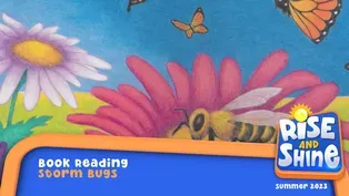 Read a Book- Storm Bugs