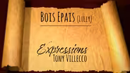 Tony Villecco | Bois Epais