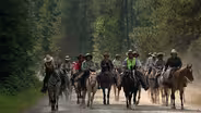 Appaloosa Legacy