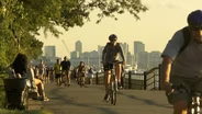 CITY PARKS IN DANGER